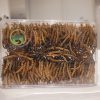 Bhutan Cordyceps Sinensis - Image 8